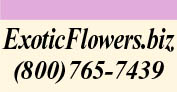 Teleflora Same-Day Nationwide Flower Delivery